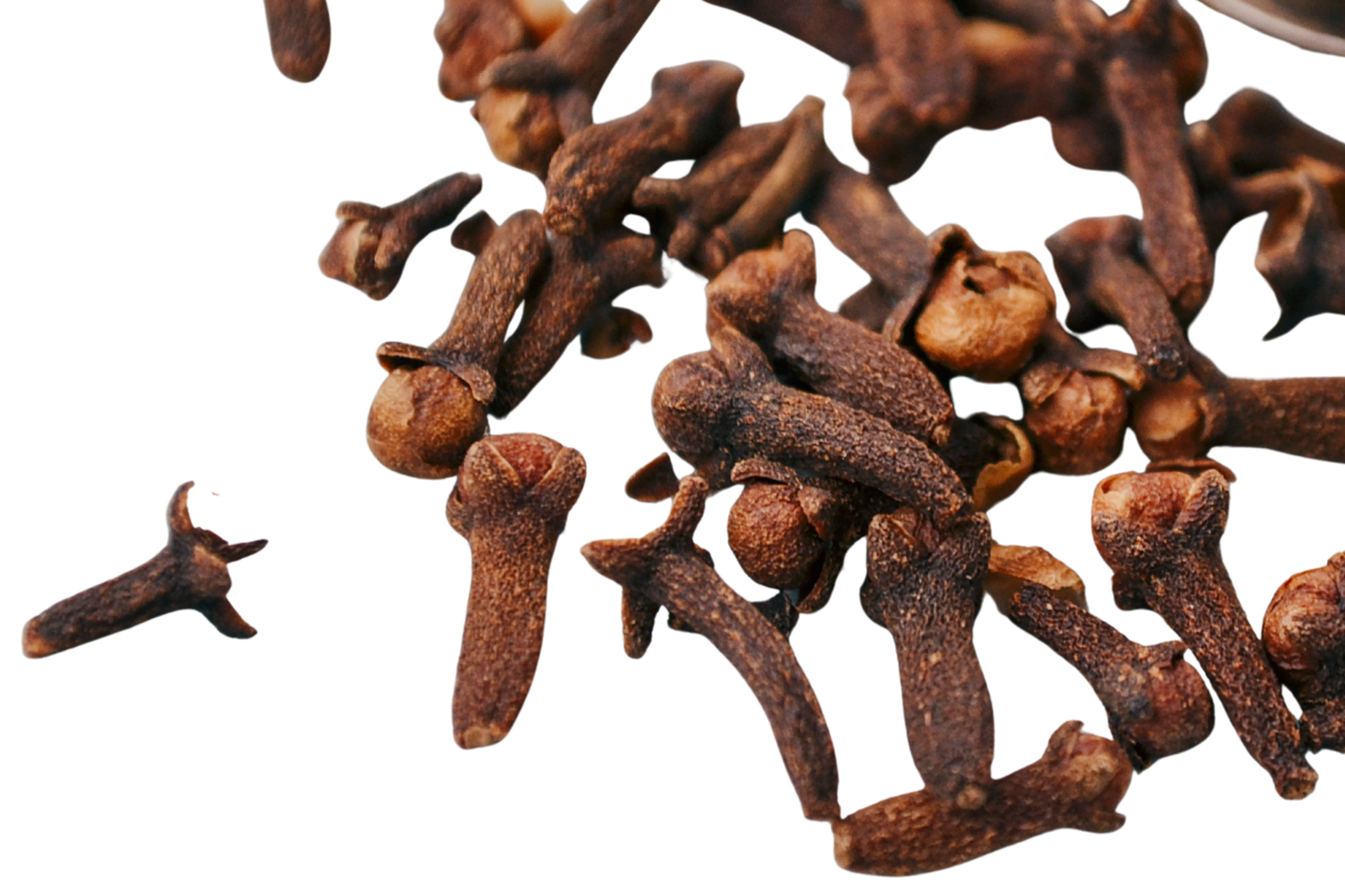Cloves